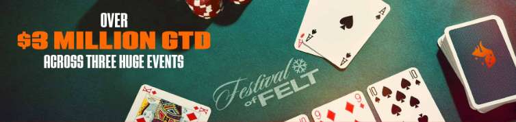 Banner: Festival of Felt