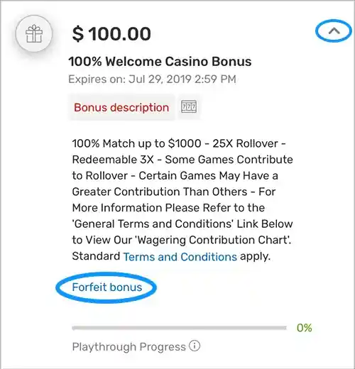 The Bonus Details box contains a ton of information