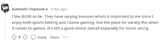 Redditor “Automatic-Chipmunk-6” like the bonuses at BUSR.ag