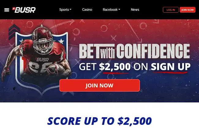 The BUSR website makes heavy use of black, white, blue, and red
