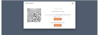 Send your bitcoins to the address displayed