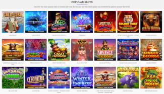 DuckyLuck's slots catalog has been sourced from several developers