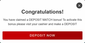 Click “Deposit Now” to continue with the deposit