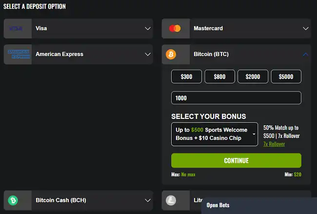 Choose the bonus you want in the deposit form