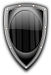 Shield